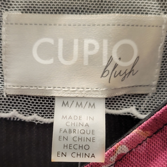 Cupio Blush Floral Dress Lined Women's Size Medium Stretch Long Sleeve - Picture 8 of 12